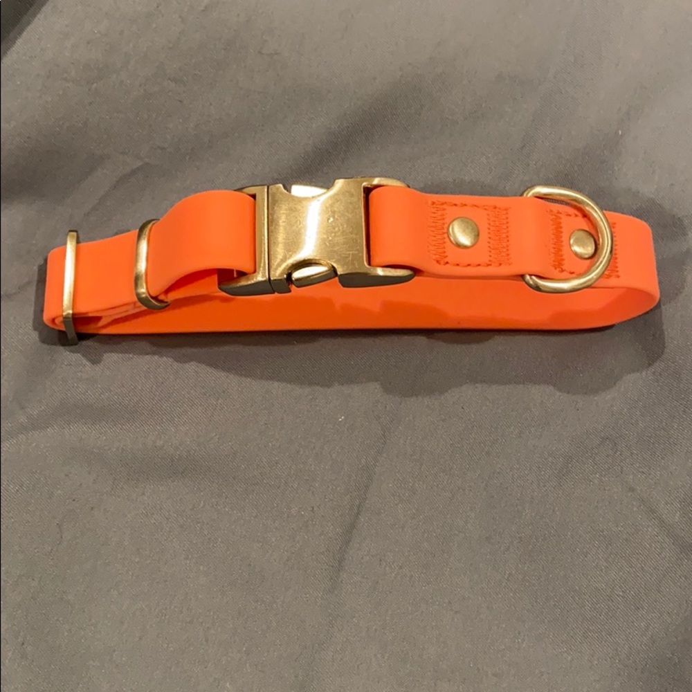 100% waterproof proof buckle biothane dog collar